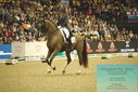Filename=PT9_7760.JPG
Filesize=410KiB
Dimensions=1224x817
Date added=Mar 11, 2024 PT9_7760.JPG