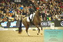 Filename=PT9_7761.JPG
Filesize=479KiB
Dimensions=1224x817
Date added=Mar 11, 2024 PT9_7761.JPG