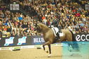 Filename=PT9_7766.JPG
Filesize=417KiB
Dimensions=1224x817
Date added=Mar 11, 2024 PT9_7766.JPG