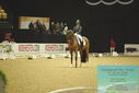 Filename=PT9_7772.JPG
Filesize=275KiB
Dimensions=1224x817
Date added=Mar 11, 2024 PT9_7772.JPG