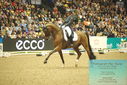 Filename=PT9_7775.JPG
Filesize=415KiB
Dimensions=1224x817
Date added=Mar 11, 2024 PT9_7775.JPG