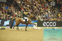 Filename=PT9_7778.JPG
Filesize=489KiB
Dimensions=1224x817
Date added=Mar 11, 2024 PT9_7778.JPG