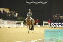 Filename=PT9_7781.JPG
Filesize=296KiB
Dimensions=1224x817
Date added=Mar 11, 2024 PT9_7781.JPG