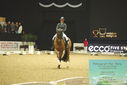 Filename=PT9_7782.JPG
Filesize=294KiB
Dimensions=1224x817
Date added=Mar 11, 2024 PT9_7782.JPG