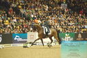 Filename=PT9_7786.JPG
Filesize=470KiB
Dimensions=1224x817
Date added=Mar 11, 2024 PT9_7786.JPG