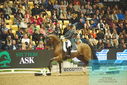 Filename=PT9_7791.JPG
Filesize=494KiB
Dimensions=1224x817
Date added=Mar 11, 2024 PT9_7791.JPG
