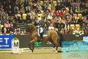 Filename=PT9_7792.JPG
Filesize=435KiB
Dimensions=1224x817
Date added=Mar 11, 2024 PT9_7792.JPG