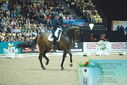 Filename=PT9_7852.JPG
Filesize=401KiB
Dimensions=1224x817
Date added=Mar 11, 2024 PT9_7852.JPG