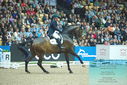 Filename=PT9_7856.JPG
Filesize=407KiB
Dimensions=1224x817
Date added=Mar 11, 2024 PT9_7856.JPG