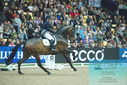 Filename=PT9_7859.JPG
Filesize=382KiB
Dimensions=1224x817
Date added=Mar 11, 2024 PT9_7859.JPG