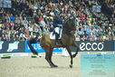 Filename=PT9_7863.JPG
Filesize=484KiB
Dimensions=1224x817
Date added=Mar 11, 2024 PT9_7863.JPG