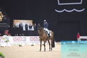 Filename=PT9_7907.JPG
Filesize=265KiB
Dimensions=1224x817
Date added=Mar 11, 2024 PT9_7907.JPG