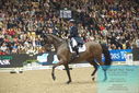 Filename=PT9_7911.JPG
Filesize=471KiB
Dimensions=1224x817
Date added=Mar 11, 2024 PT9_7911.JPG