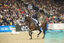 Filename=PT9_7936.JPG
Filesize=441KiB
Dimensions=1224x817
Date added=Mar 11, 2024 PT9_7936.JPG
