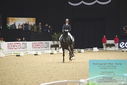Filename=PT9_7976.JPG
Filesize=278KiB
Dimensions=1224x817
Date added=Mar 11, 2024 PT9_7976.JPG