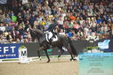 Filename=PT9_7981.JPG
Filesize=477KiB
Dimensions=1224x817
Date added=Mar 11, 2024 PT9_7981.JPG