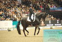 Filename=PT9_7986.JPG
Filesize=386KiB
Dimensions=1224x817
Date added=Mar 11, 2024 PT9_7986.JPG