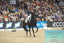 Filename=PT9_8000.JPG
Filesize=464KiB
Dimensions=1224x817
Date added=Mar 11, 2024 PT9_8000.JPG
