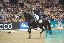Filename=PT9_8002.JPG
Filesize=363KiB
Dimensions=1224x817
Date added=Mar 11, 2024 PT9_8002.JPG