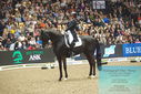 Filename=PT9_8004.JPG
Filesize=489KiB
Dimensions=1224x817
Date added=Mar 11, 2024 PT9_8004.JPG