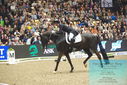 Filename=PT9_8007.JPG
Filesize=441KiB
Dimensions=1224x817
Date added=Mar 11, 2024 PT9_8007.JPG