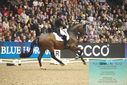 Filename=PT9_8100.JPG
Filesize=401KiB
Dimensions=1224x817
Date added=Mar 11, 2024 PT9_8100.JPG