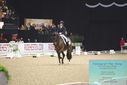 Filename=PT9_8107.JPG
Filesize=285KiB
Dimensions=1224x817
Date added=Mar 11, 2024 PT9_8107.JPG