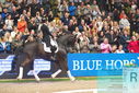 Filename=PT9_8129.JPG
Filesize=487KiB
Dimensions=1224x817
Date added=Mar 11, 2024 PT9_8129.JPG