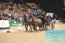 Filename=PT9_8132.JPG
Filesize=453KiB
Dimensions=1224x817
Date added=Mar 11, 2024 PT9_8132.JPG