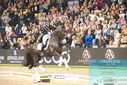 Filename=PT9_8194.JPG
Filesize=495KiB
Dimensions=1224x817
Date added=Mar 11, 2024 PT9_8194.JPG