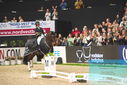 Filename=PT9_8197.JPG
Filesize=336KiB
Dimensions=1224x817
Date added=Mar 11, 2024 PT9_8197.JPG