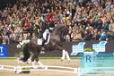 Filename=PT9_8204.JPG
Filesize=483KiB
Dimensions=1224x817
Date added=Mar 11, 2024 PT9_8204.JPG