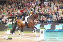 Filename=PT9_8208.JPG
Filesize=457KiB
Dimensions=1224x817
Date added=Mar 11, 2024 PT9_8208.JPG