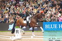Filename=PT9_8209.JPG
Filesize=474KiB
Dimensions=1224x817
Date added=Mar 11, 2024 PT9_8209.JPG