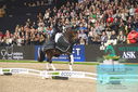 Filename=PT9_8215.JPG
Filesize=469KiB
Dimensions=1224x817
Date added=Mar 11, 2024 PT9_8215.JPG