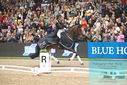 Filename=PT9_8217.JPG
Filesize=513KiB
Dimensions=1224x817
Date added=Mar 11, 2024 PT9_8217.JPG