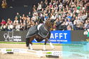 Filename=PT9_8222.JPG
Filesize=396KiB
Dimensions=1224x817
Date added=Mar 11, 2024 PT9_8222.JPG