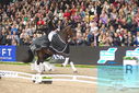 Filename=PT9_8223.JPG
Filesize=450KiB
Dimensions=1224x817
Date added=Mar 11, 2024 PT9_8223.JPG