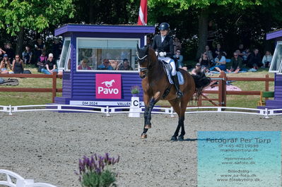 valllensbæk ride klub
senior finale
Keywords: ccaroline albertsen;dm;pt;quintus