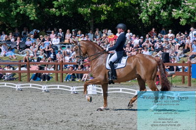 valllensbæk ride klub
senior finale
Keywords: dm;pt;joackim chr thomsen;vichy pax