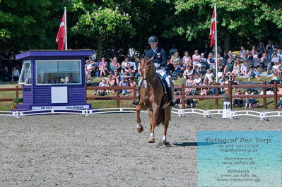 valllensbæk ride klub
senior finale
Keywords: dm;pt;joackim chr thomsen;vichy pax