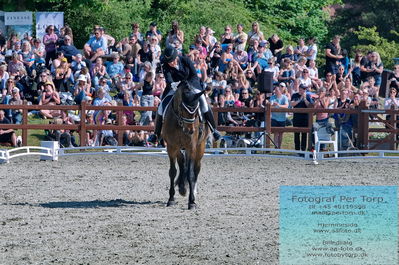 valllensbæk ride klub
senior finale
Keywords: dm;pt;lone madsen;heslegaards ragnhild