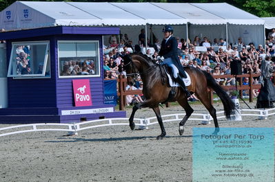 valllensbæk ride klub
senior finale
Keywords: dm;pt;lone bang larsen;thranegaardens rostov