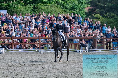 valllensbæk ride klub
senior finale
Keywords: dm;pt;carina cassoe krüth;heiline's danciera
