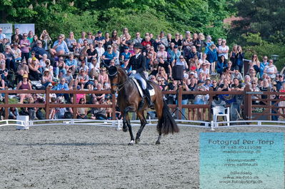 valllensbæk ride klub
senior finale
Keywords: cathrine laudrup-dufour;dm;pt;mount st john freestyle