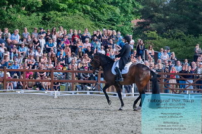 valllensbæk ride klub
senior finale
Keywords: cathrine laudrup-dufour;dm;pt;mount st john freestyle