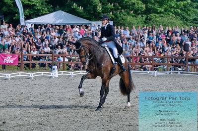 valllensbæk ride klub
senior finale
Keywords: cathrine laudrup-dufour;dm;pt;mount st john freestyle