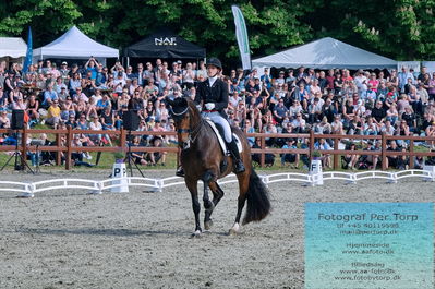valllensbæk ride klub
senior finale
Keywords: cathrine laudrup-dufour;dm;pt;mount st john freestyle