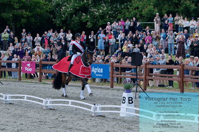 valllensbæk ride klub
senior finale
Keywords: dm;pt;cathrine laudrup-dufour;lap of honour