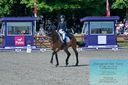 Filename=PT2_7847.JPG
Filesize=511KiB
Dimensions=1227x815
Date added=May 26, 2024 PT2_7847.JPG